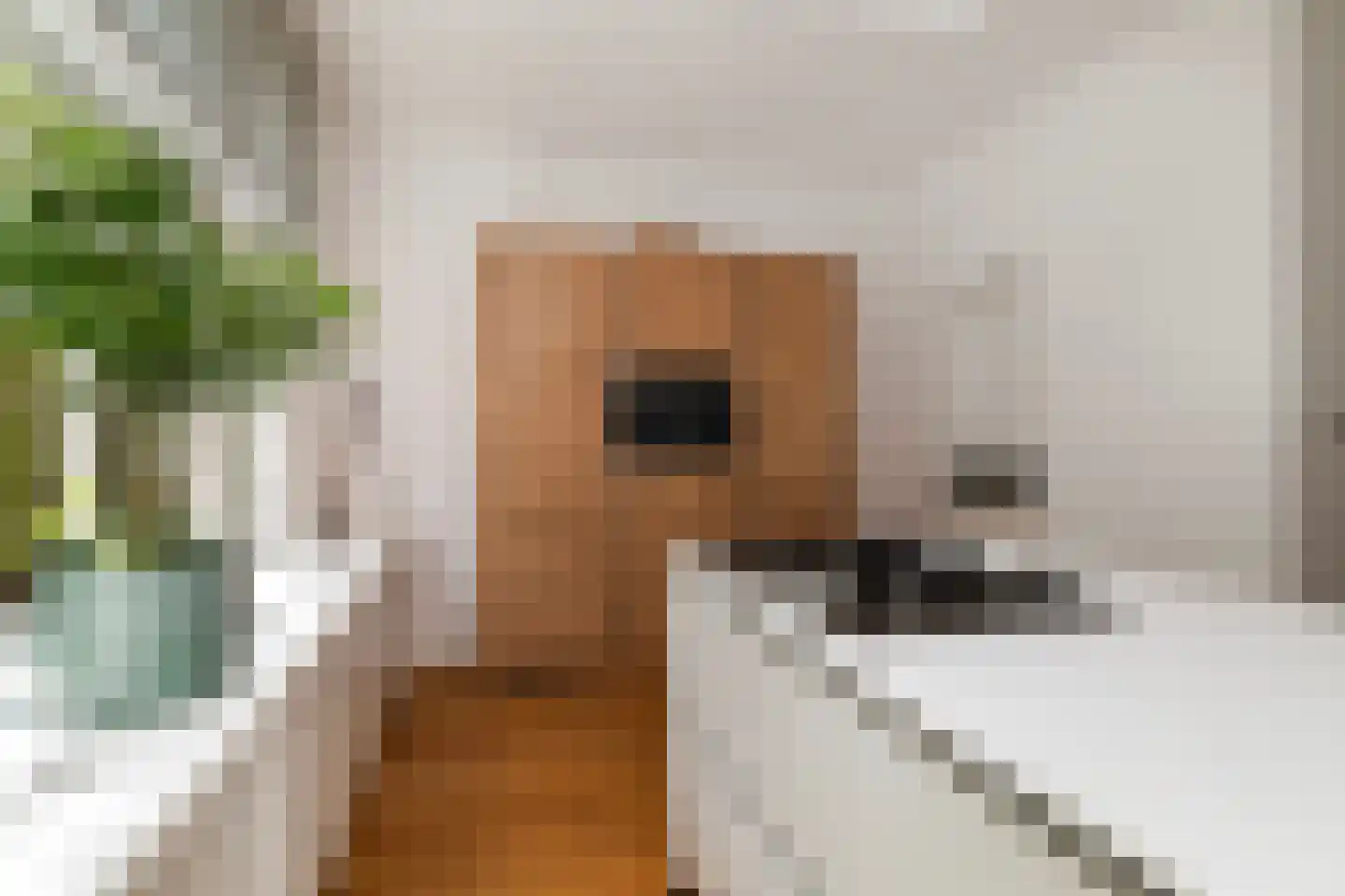 Groen van Prinstererstraat 105 B Rotterdam thumbnail 11