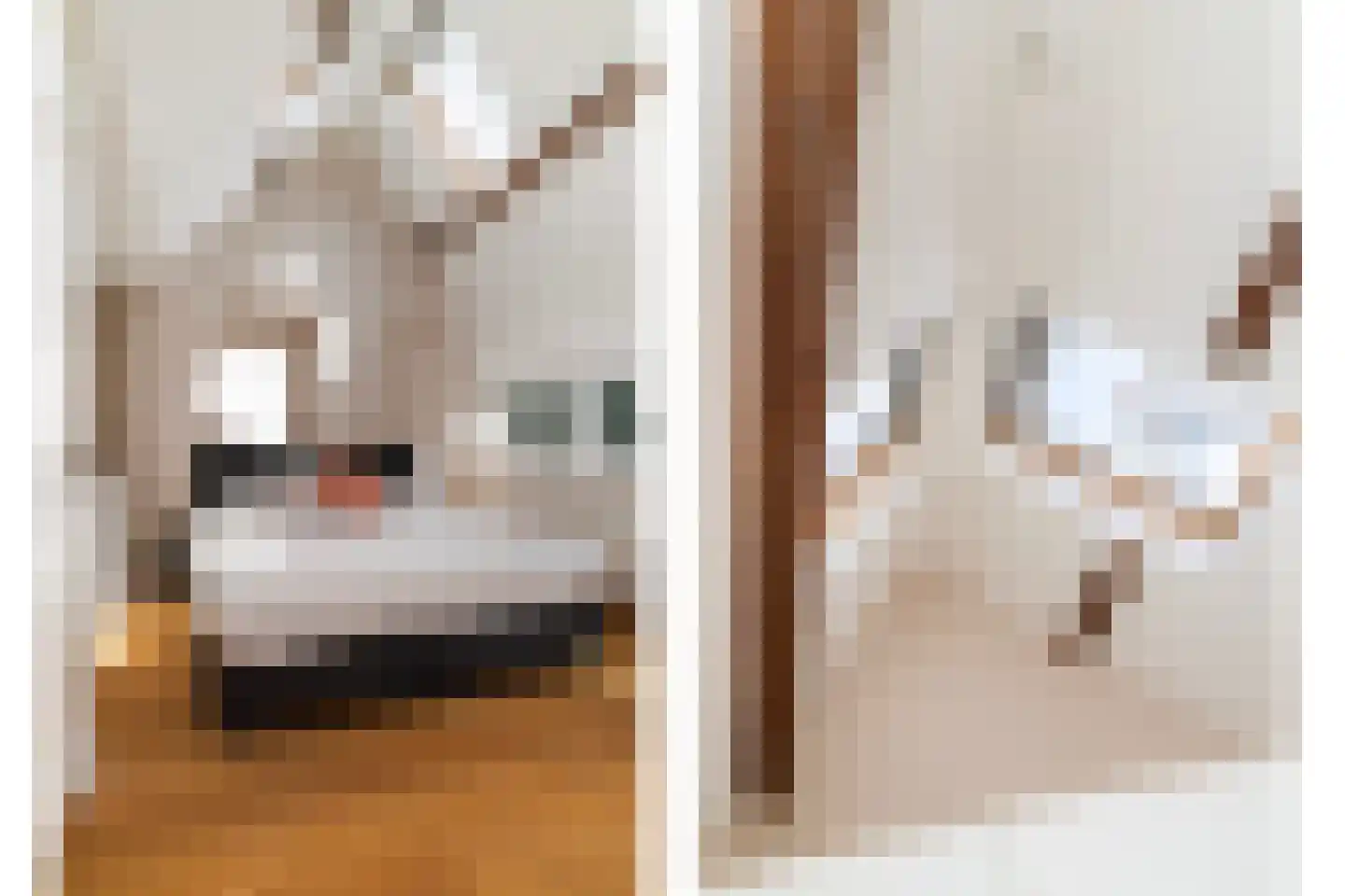 Groen van Prinstererstraat 105 B Rotterdam thumbnail 13