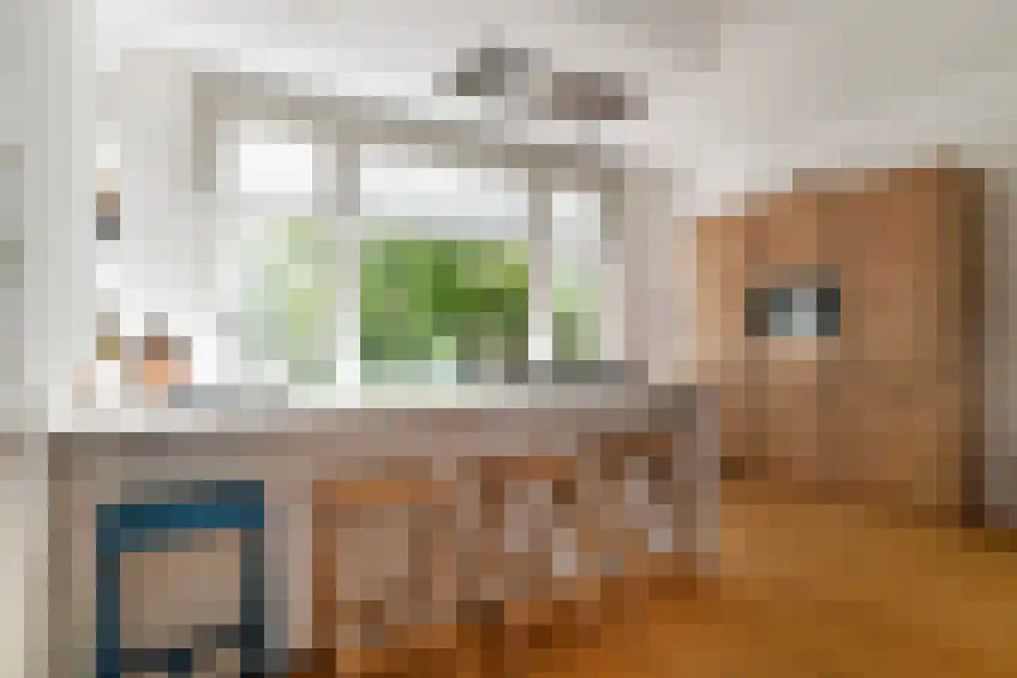 Groen van Prinstererstraat 105 B Rotterdam thumbnail 7