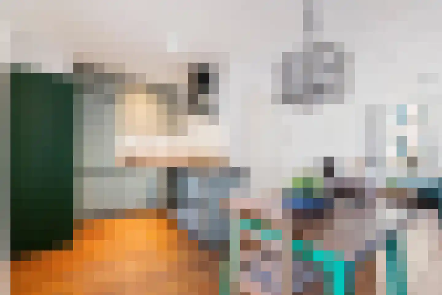 Groen van Prinstererstraat 106 1 Amsterdam thumbnail 13