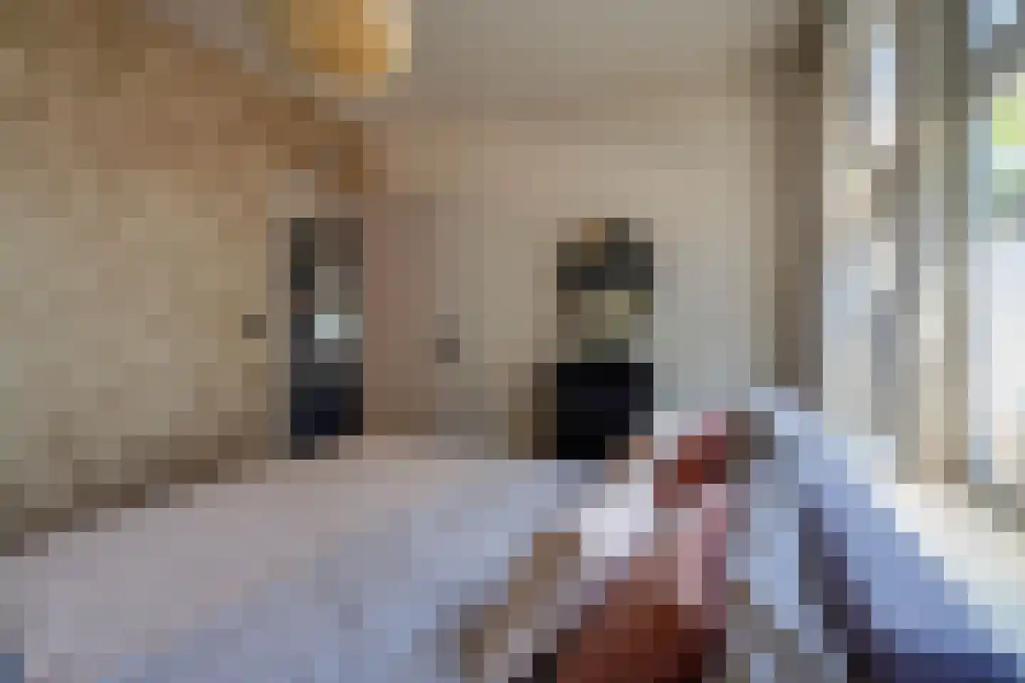 Groen van Prinstererstraat 107 B Rotterdam thumbnail 16