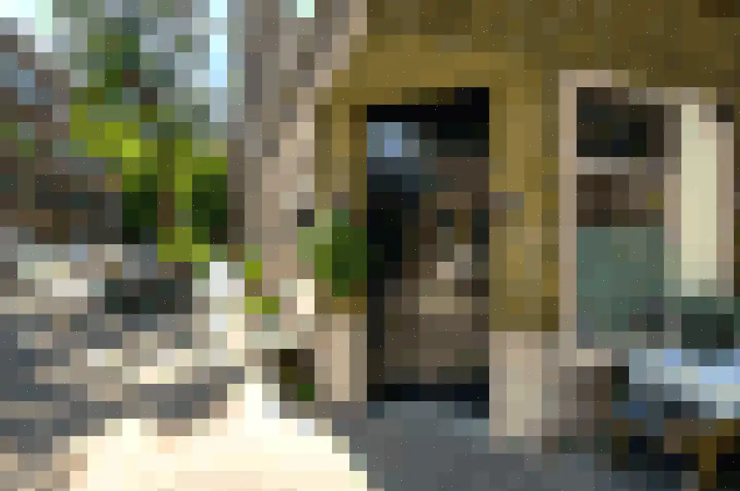 Groen van Prinstererstraat 107 B Rotterdam thumbnail 20