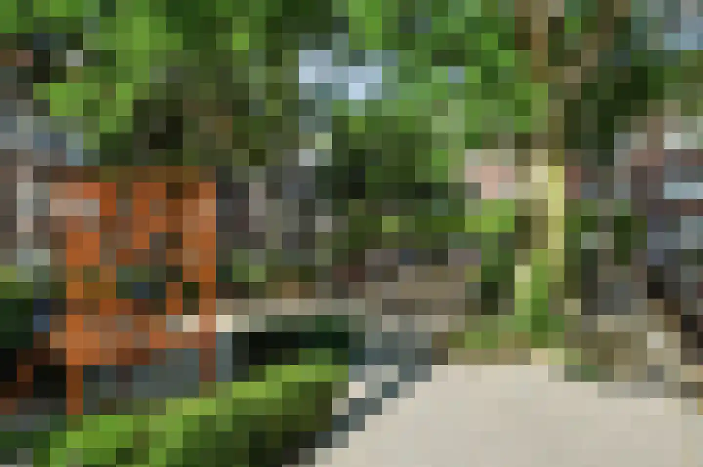 Groen van Prinstererstraat 107 B Rotterdam thumbnail 23