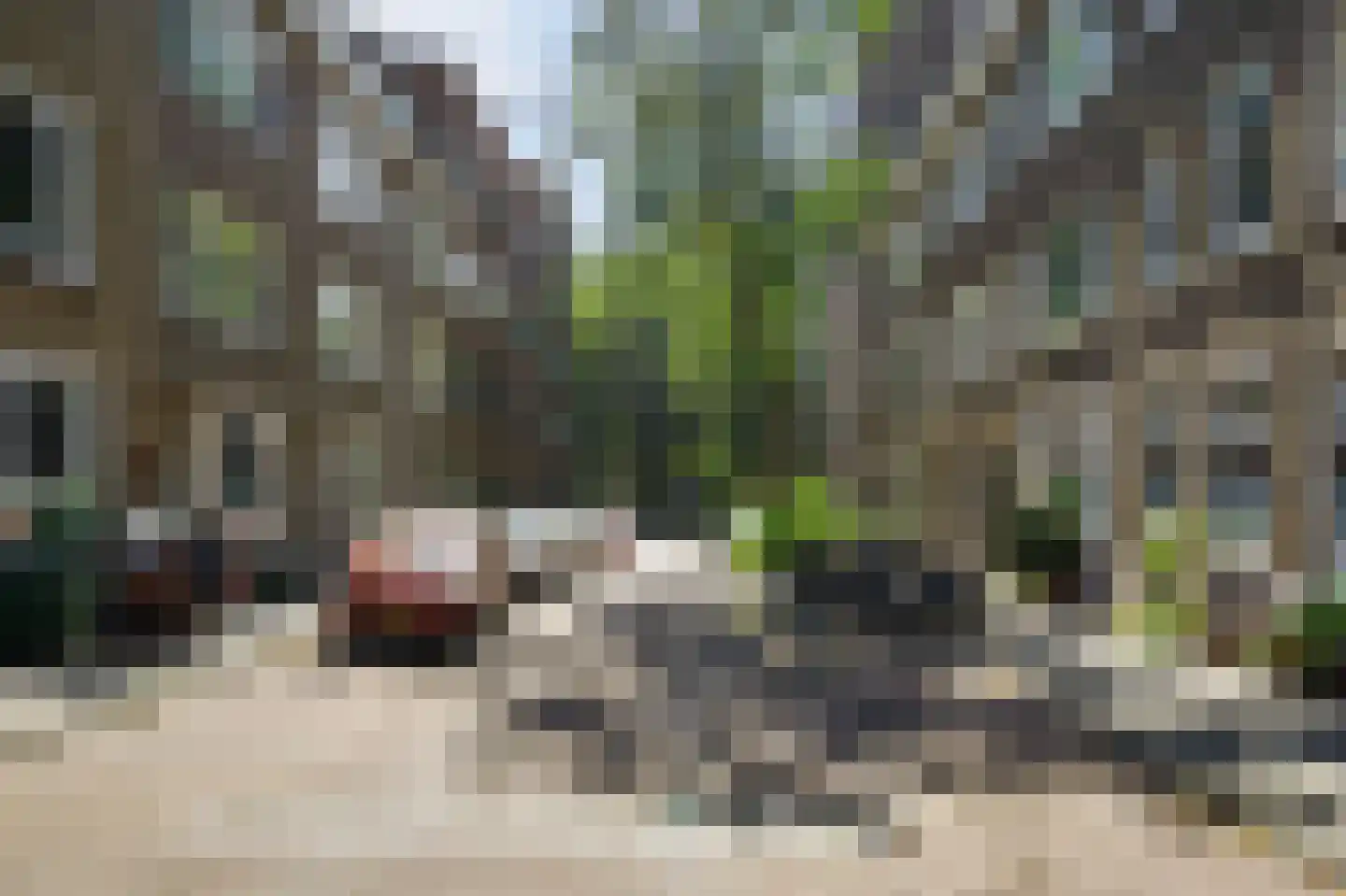 Groen van Prinstererstraat 107 B Rotterdam thumbnail 24