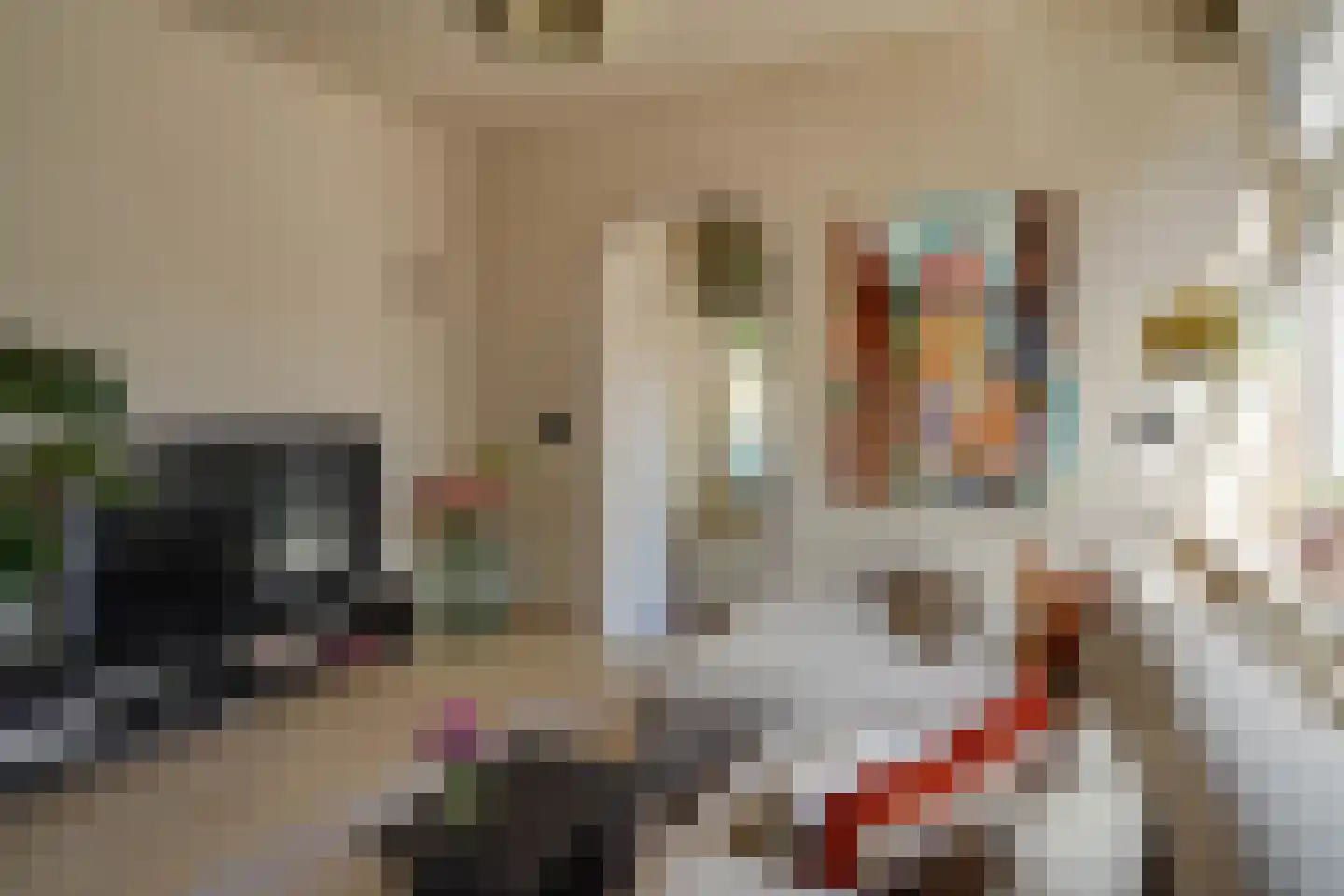 Groen van Prinstererstraat 107 B Rotterdam thumbnail 5