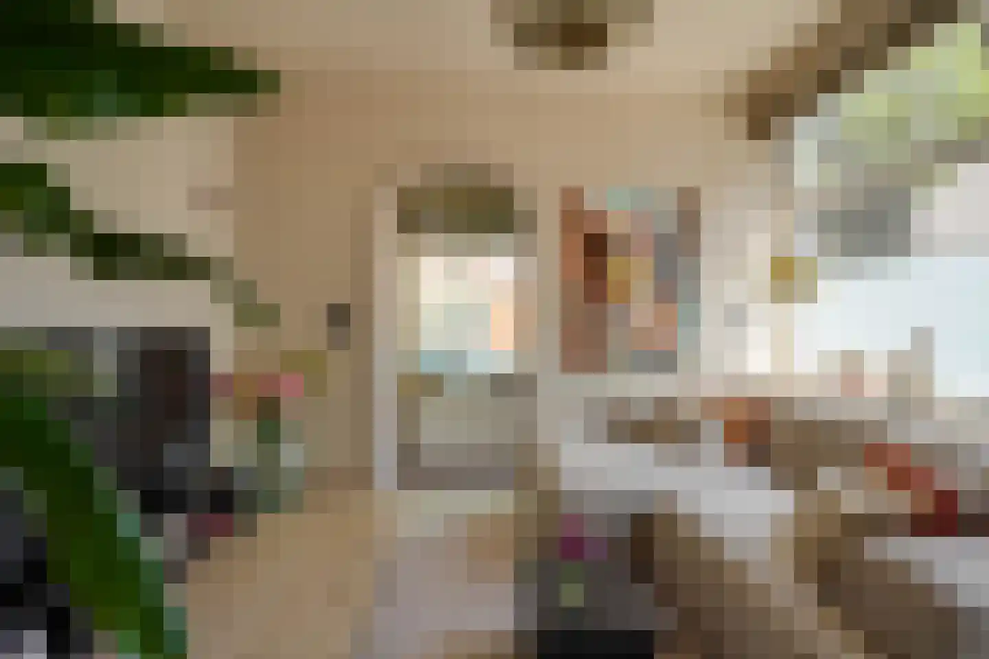Groen van Prinstererstraat 107 B Rotterdam thumbnail 6