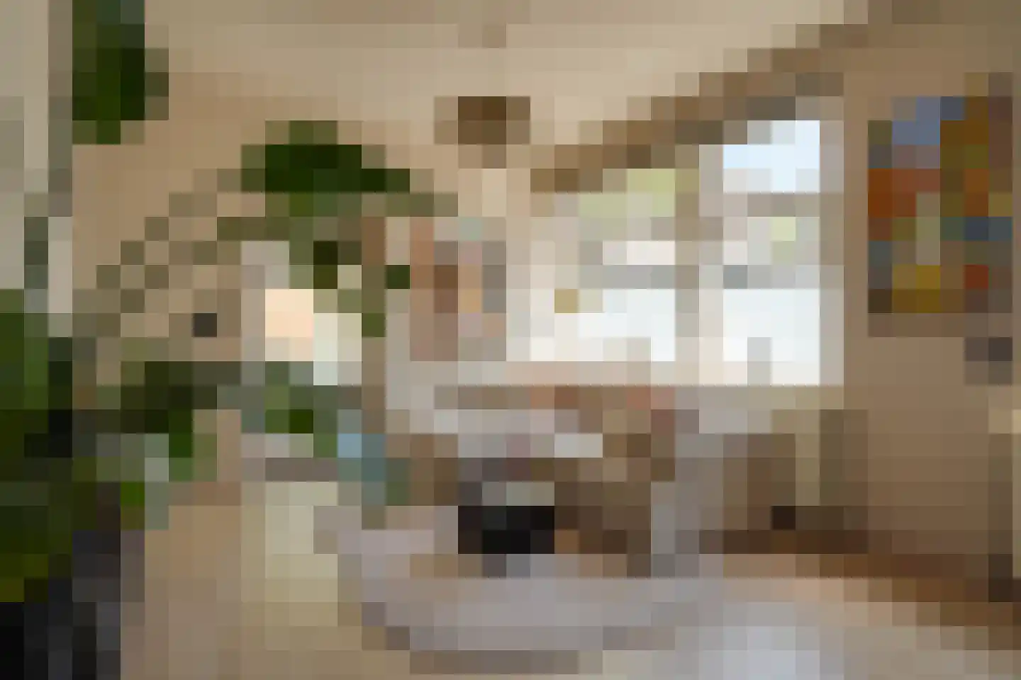 Groen van Prinstererstraat 107 B Rotterdam thumbnail 7