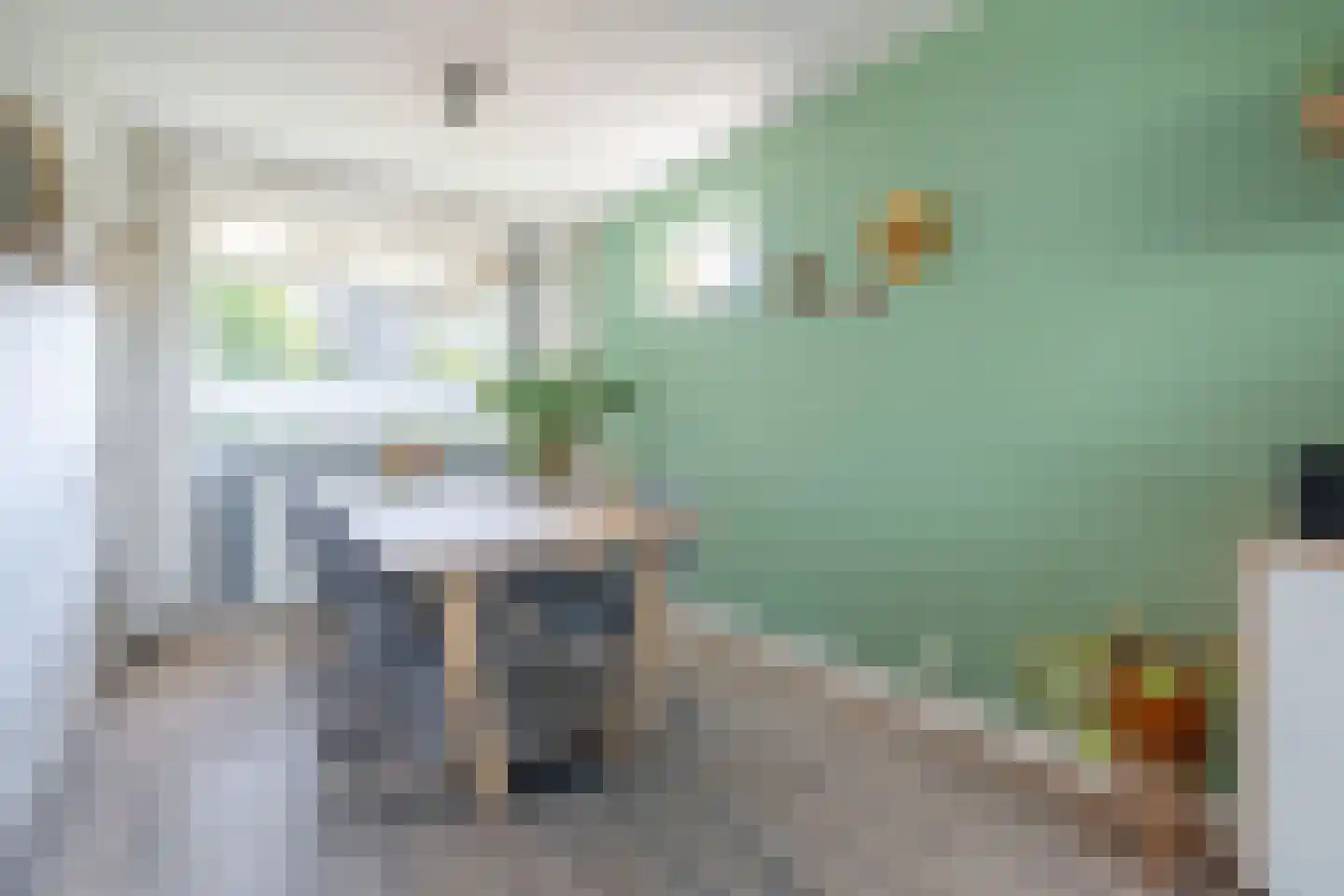 Groen van Prinstererstraat 107 Wageningen thumbnail 13