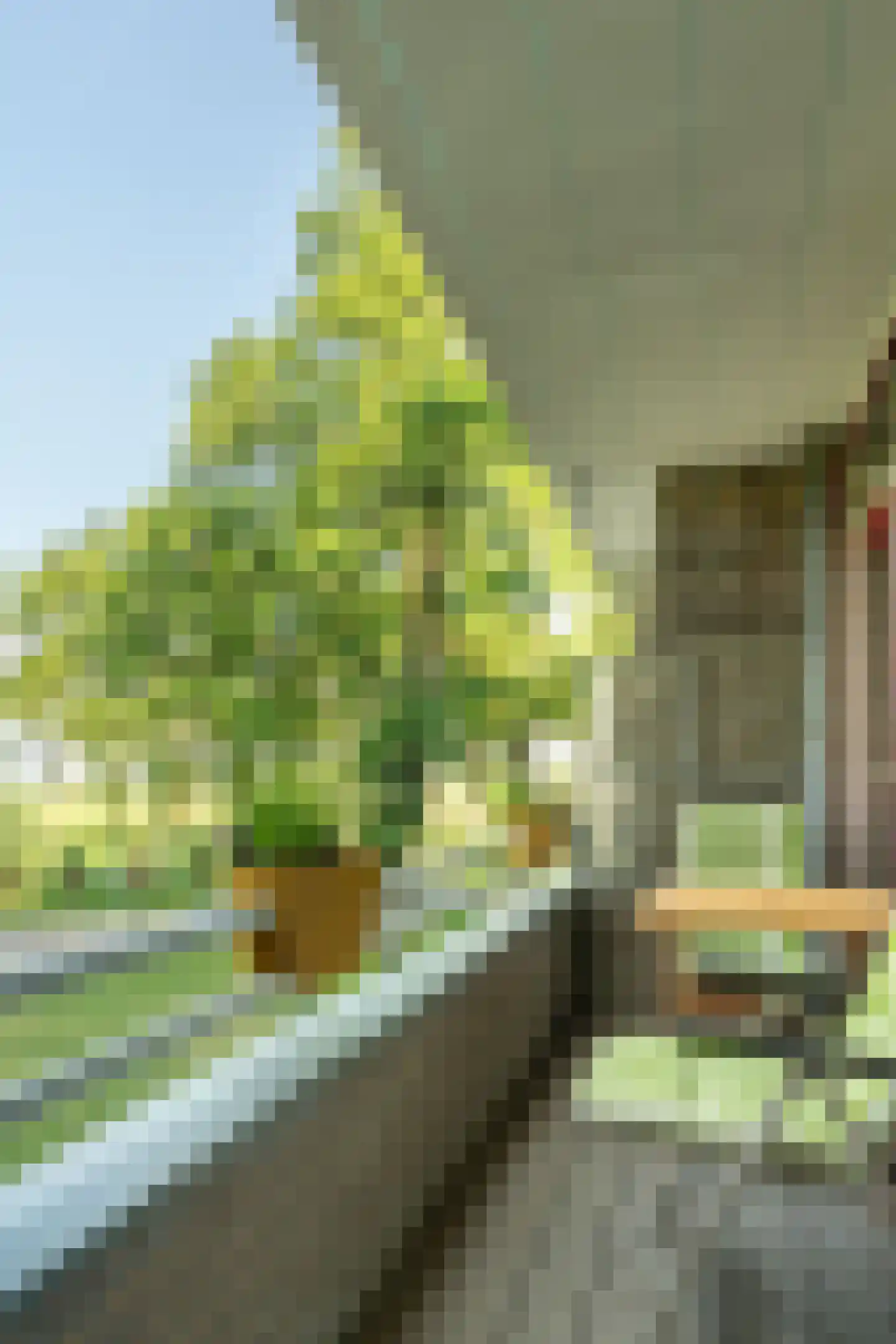 Groen van Prinstererstraat 107 Wageningen thumbnail 22
