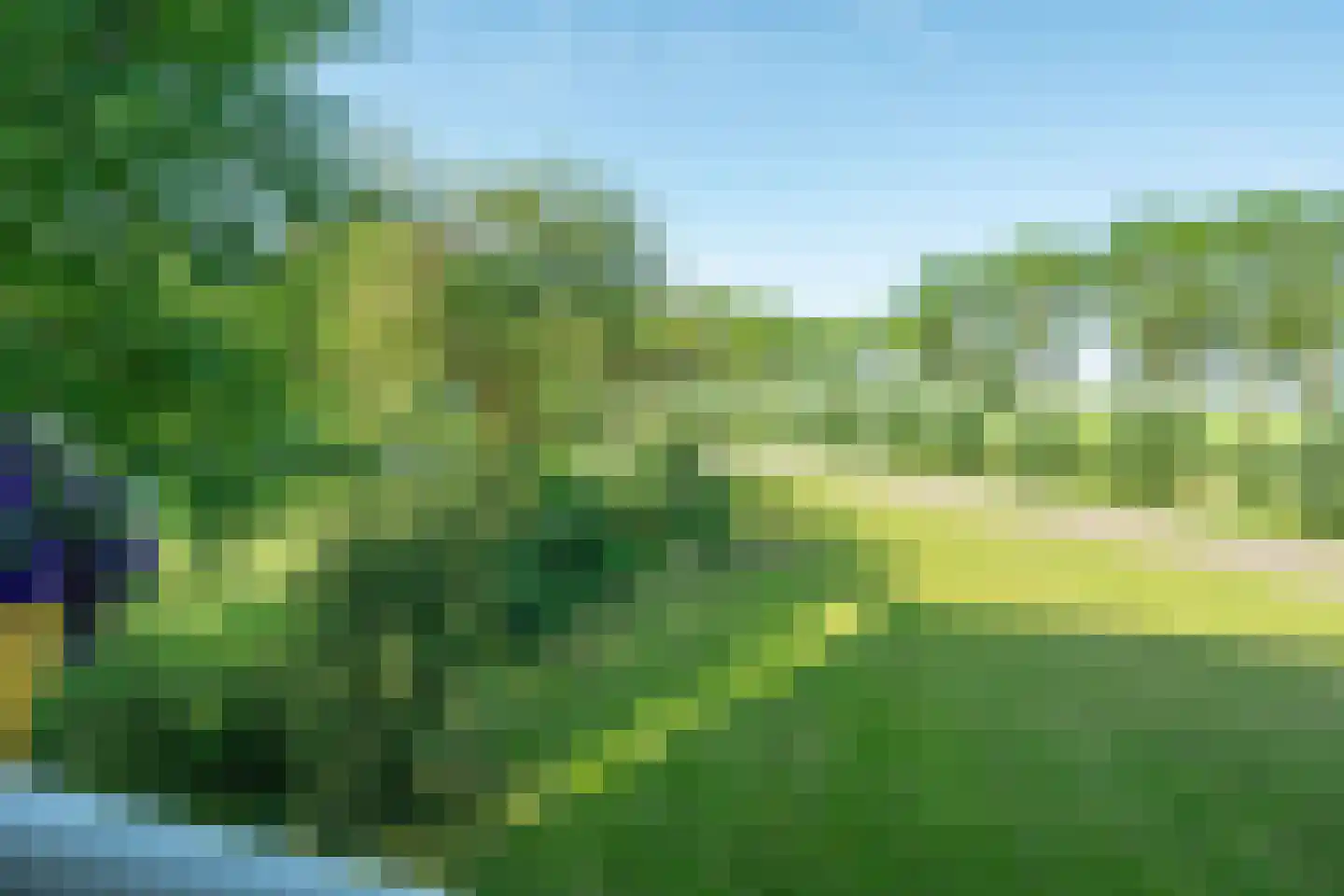 Groen van Prinstererstraat 107 Wageningen thumbnail 23