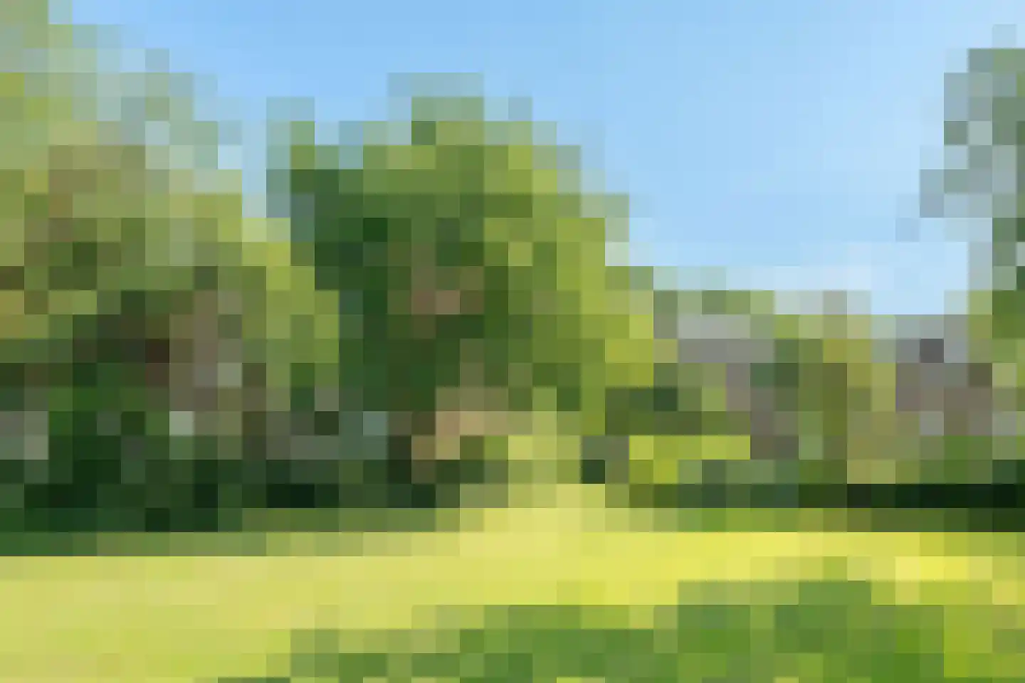 Groen van Prinstererstraat 107 Wageningen thumbnail 25
