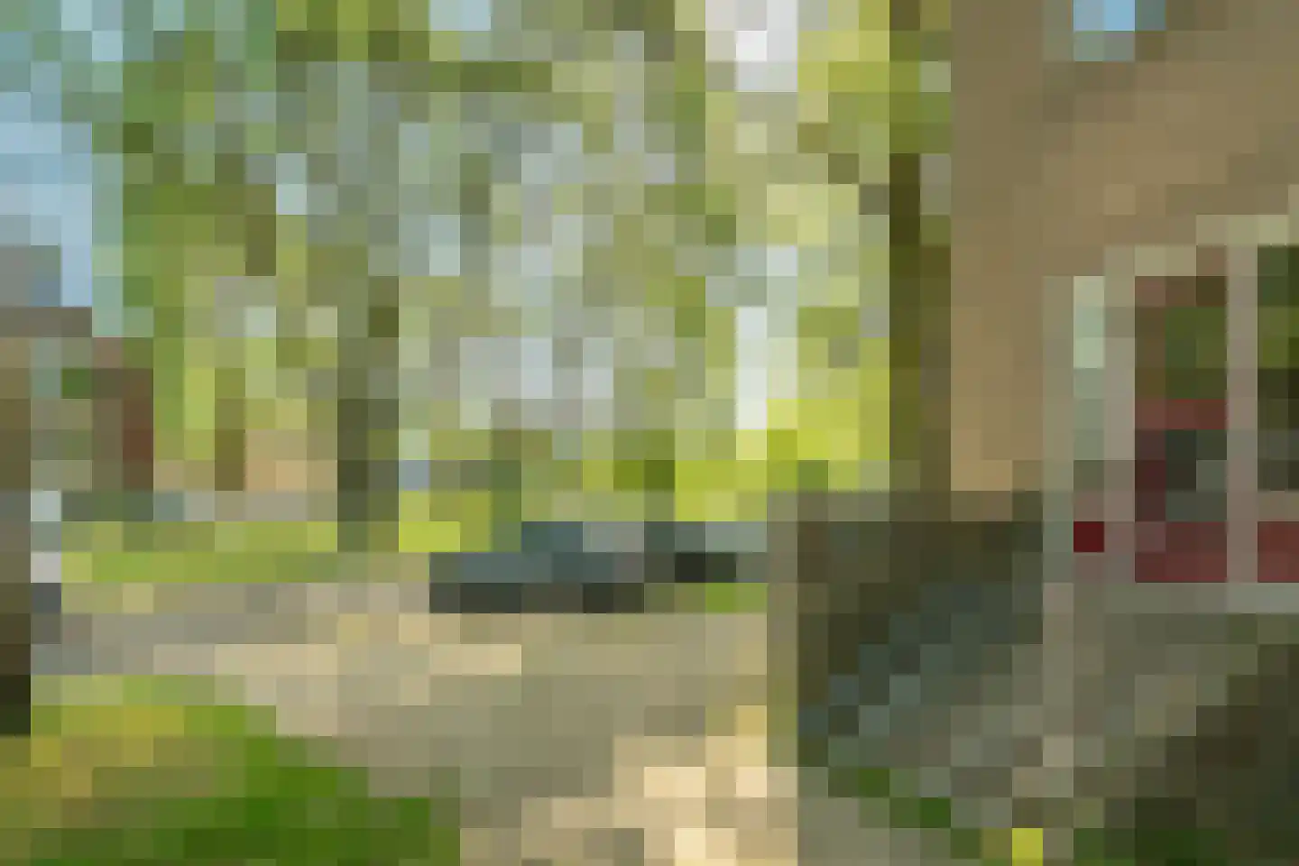 Groen van Prinstererstraat 107 Wageningen thumbnail 4