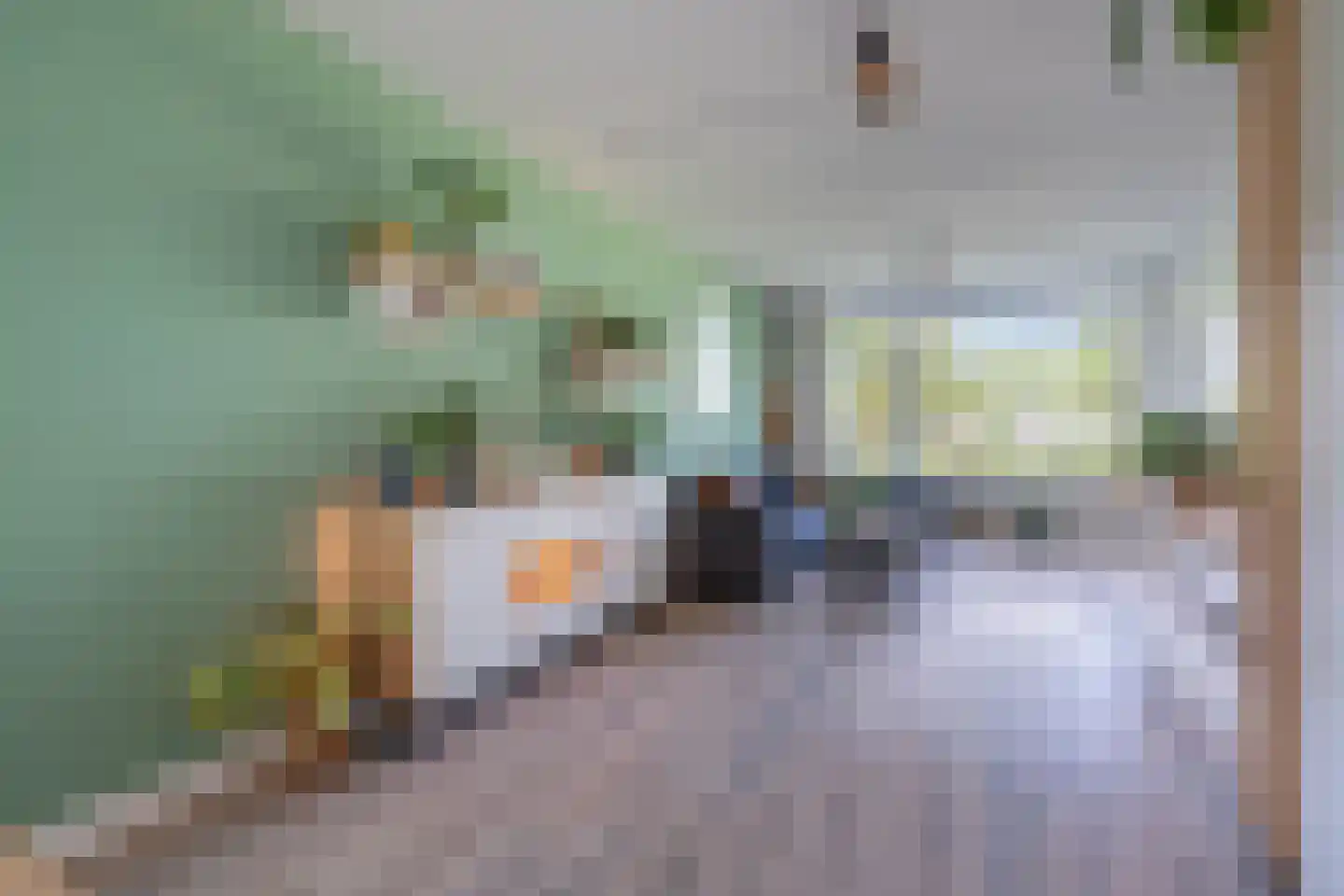 Groen van Prinstererstraat 107 Wageningen thumbnail 7