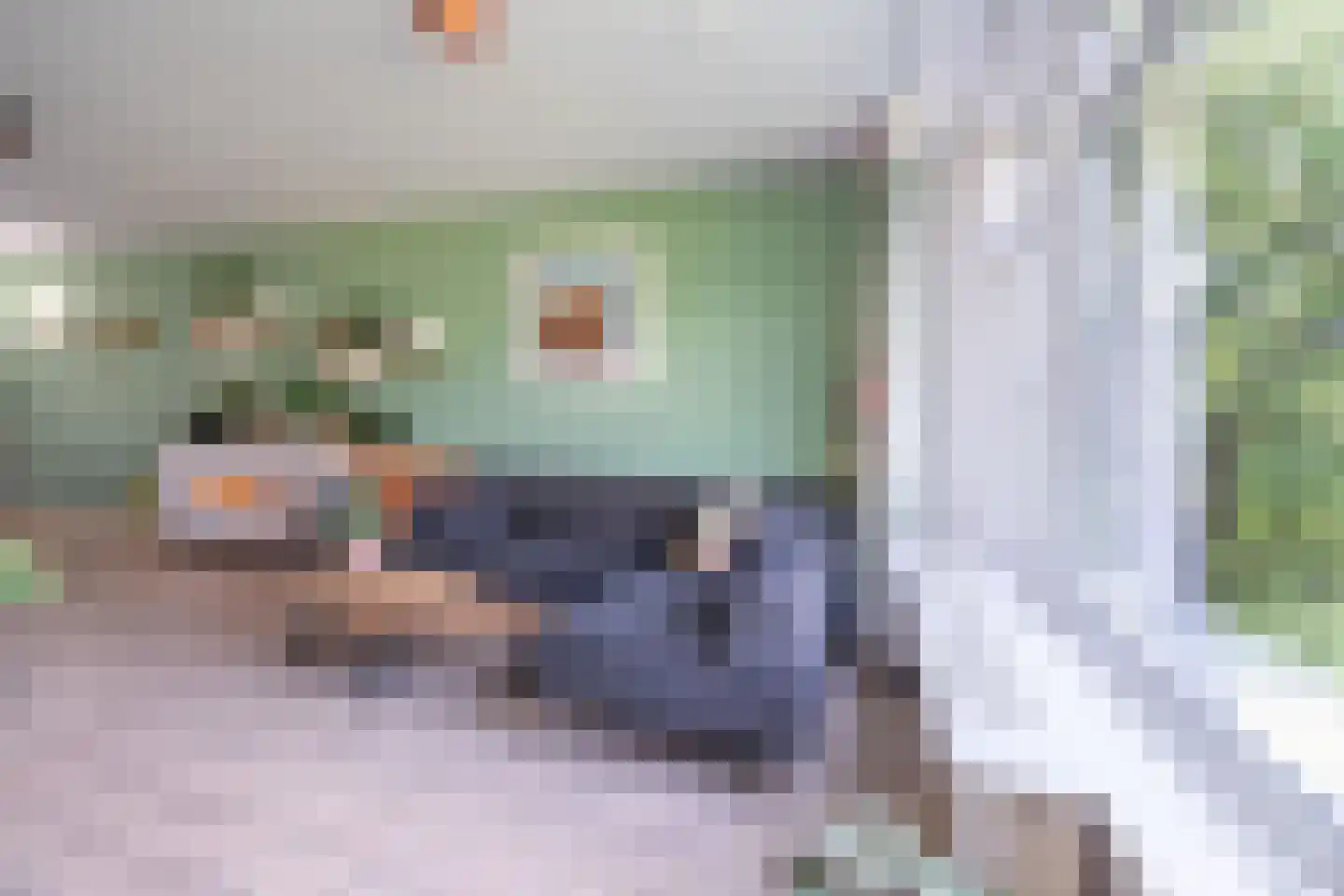 Groen van Prinstererstraat 107 Wageningen thumbnail 9