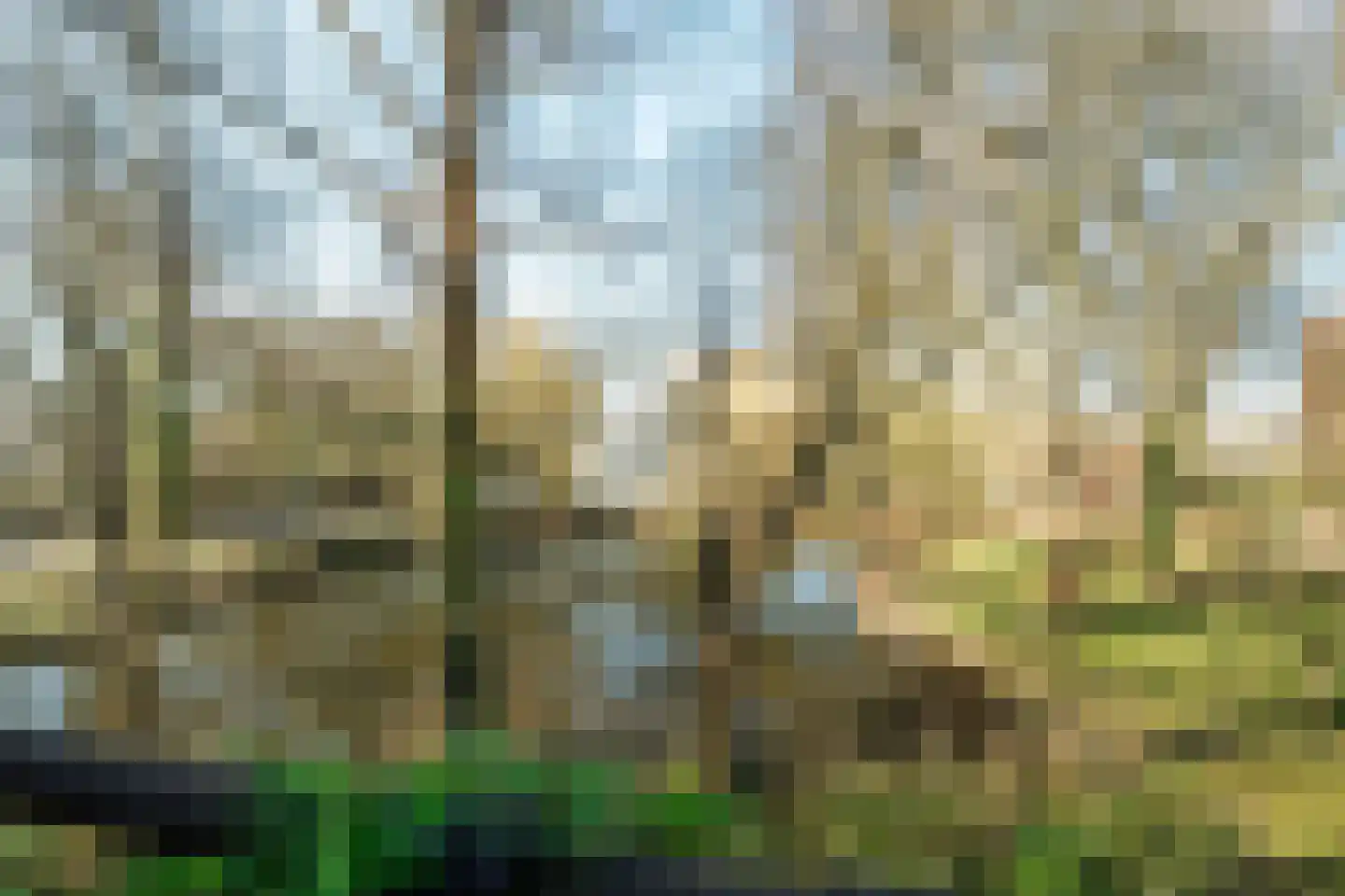Groen van Prinstererstraat 11 Wageningen thumbnail 22