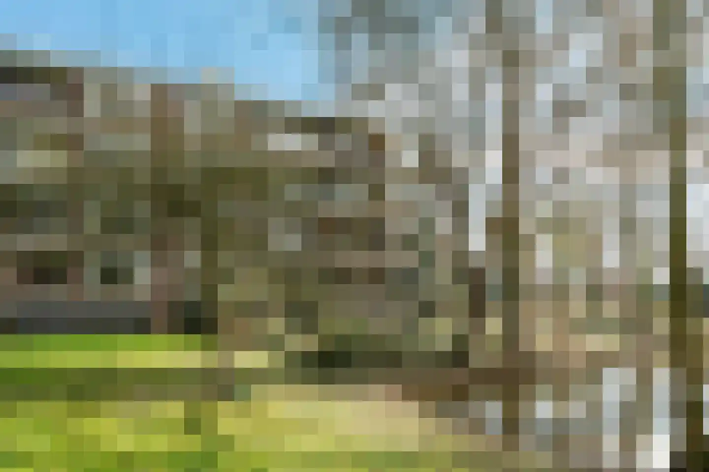 Groen van Prinstererstraat 11 Wageningen thumbnail 23