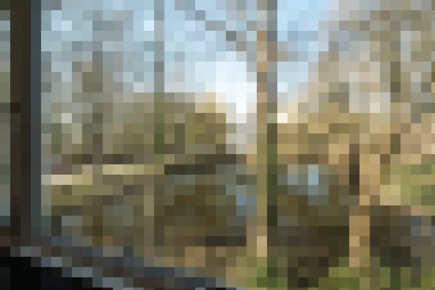 Groen van Prinstererstraat 11 Wageningen thumbnail 9