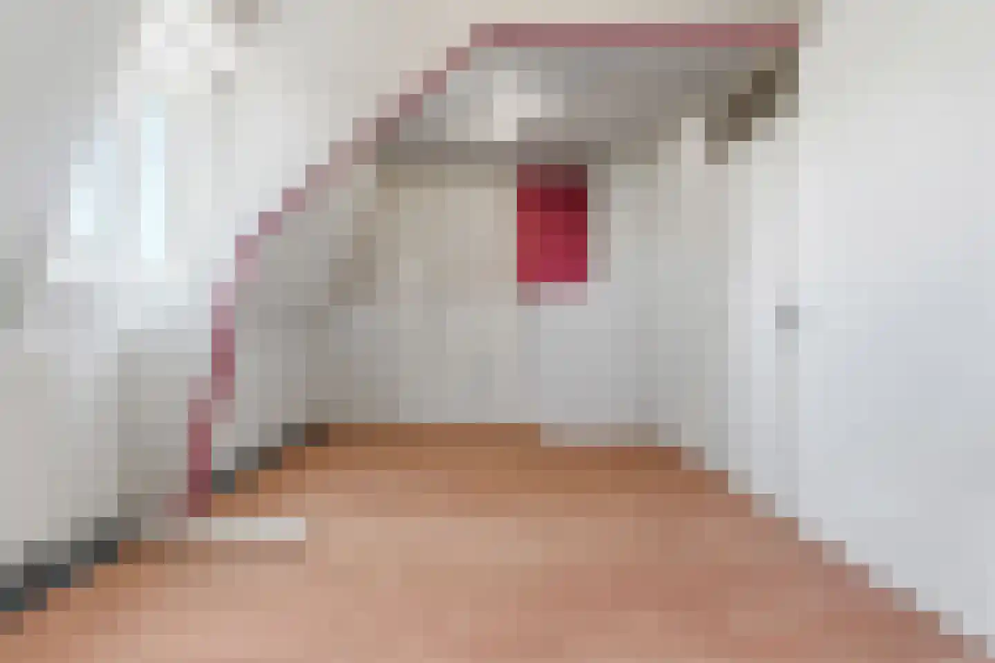 Groen van Prinstererstraat 122 Vlaardingen thumbnail 19
