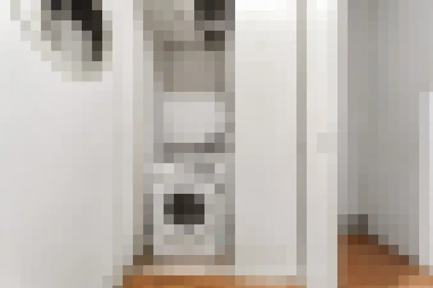 Groen van Prinstererstraat 122 Vlaardingen thumbnail 22