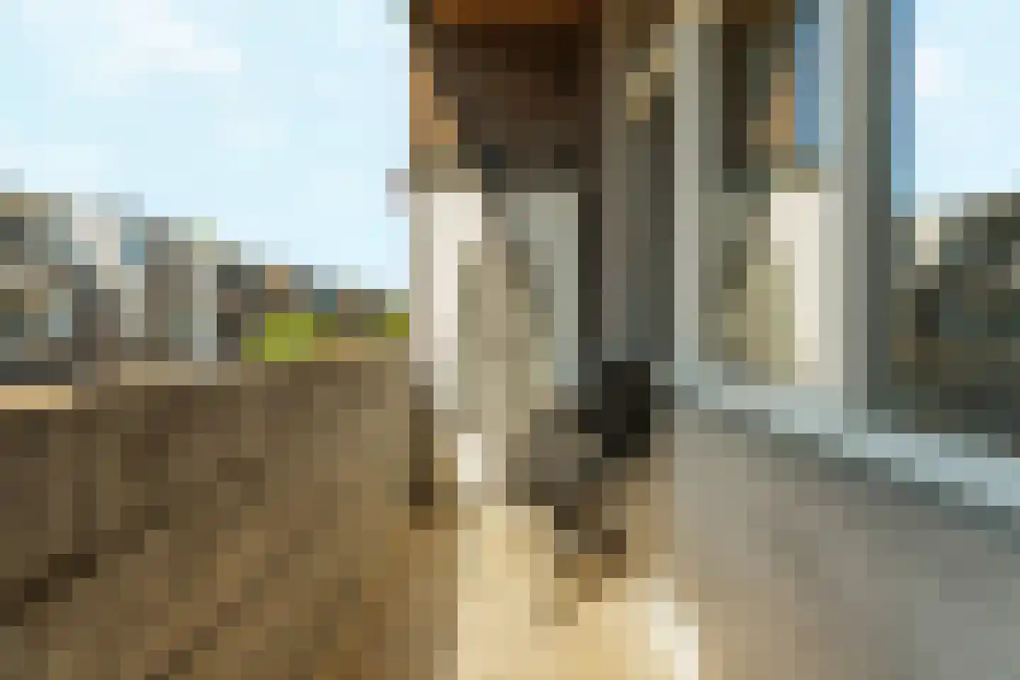 Groen van Prinstererstraat 122 Vlaardingen thumbnail 23