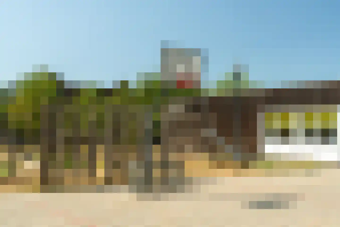 Groen van Prinstererstraat 122 Vlaardingen thumbnail 25