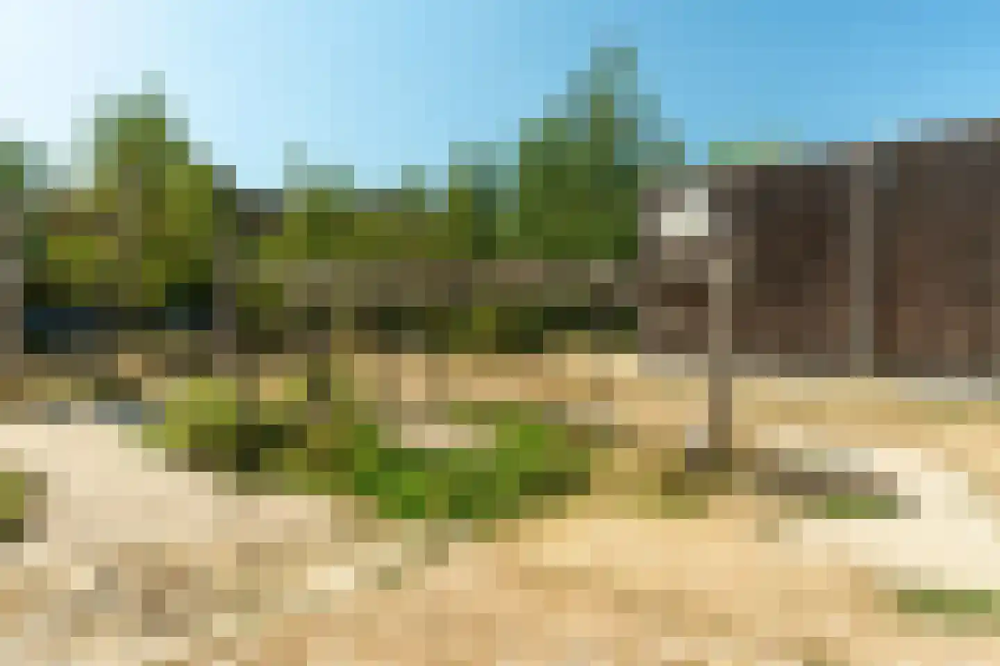 Groen van Prinstererstraat 122 Vlaardingen thumbnail 26