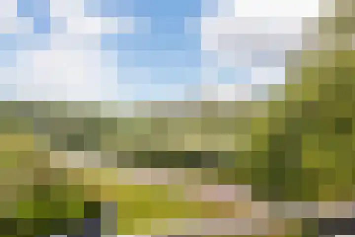 Groen van Prinstererstraat 125 Wageningen thumbnail 24