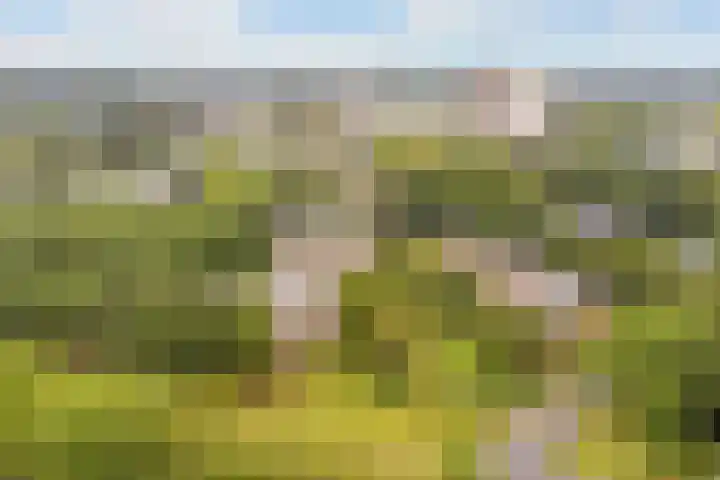 Groen van Prinstererstraat 125 Wageningen thumbnail 27