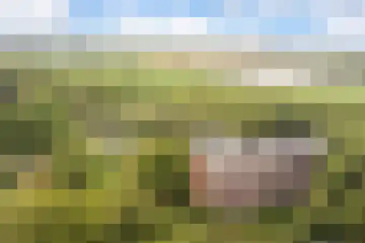 Groen van Prinstererstraat 125 Wageningen thumbnail 28