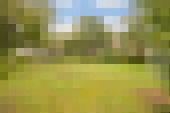 Groen van Prinstererstraat 125 Wageningen thumbnail 29