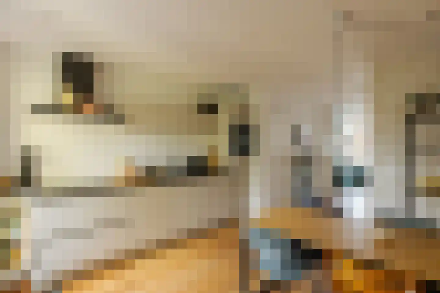 Groen van Prinstererstraat 13 3 Amsterdam thumbnail 9
