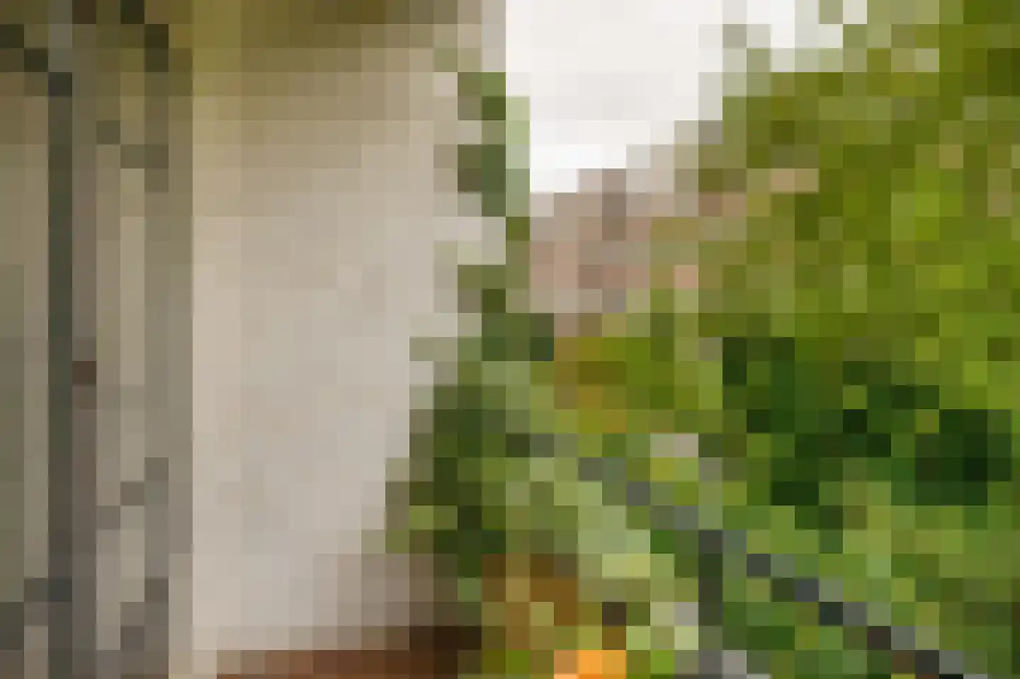 Groen van Prinstererstraat 13 A 01 Rotterdam thumbnail 16