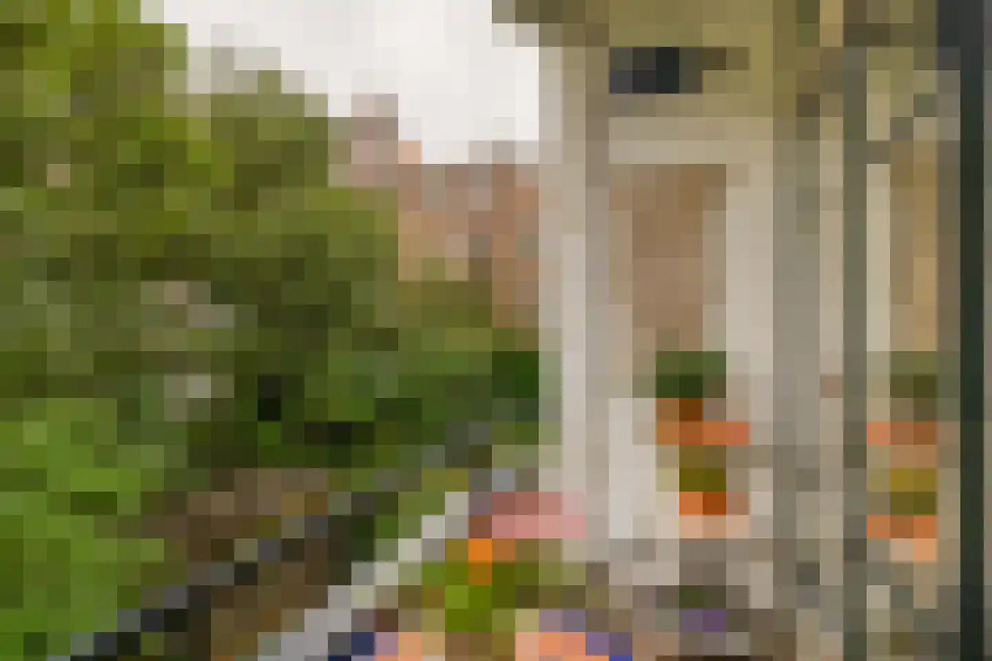 Groen van Prinstererstraat 13 A 01 Rotterdam thumbnail 6