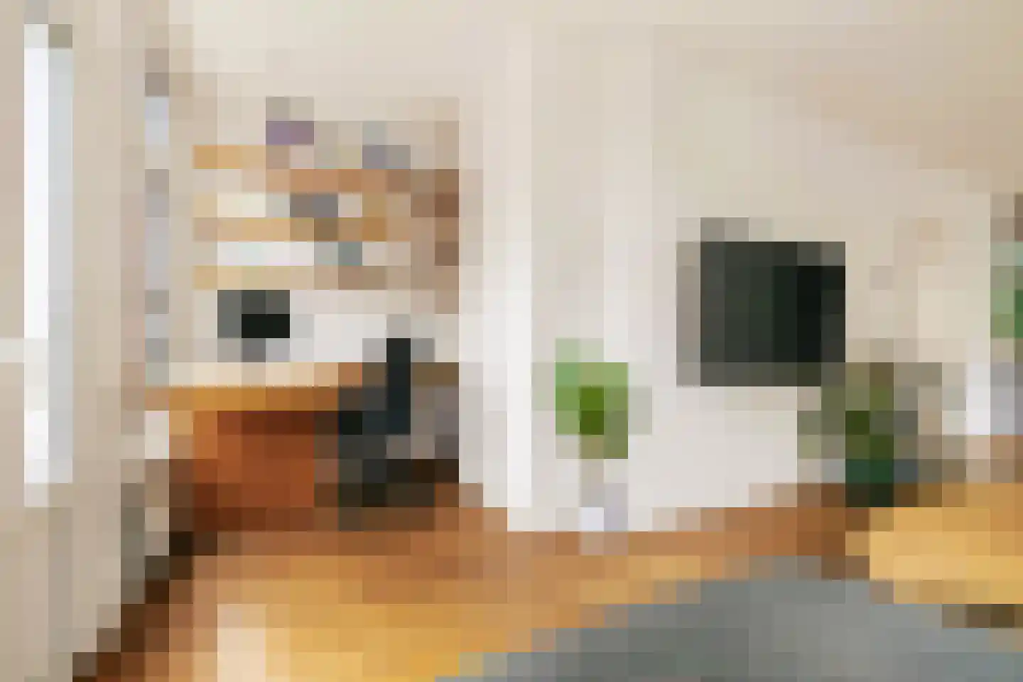 Groen van Prinstererstraat 14 1 Amsterdam thumbnail 12