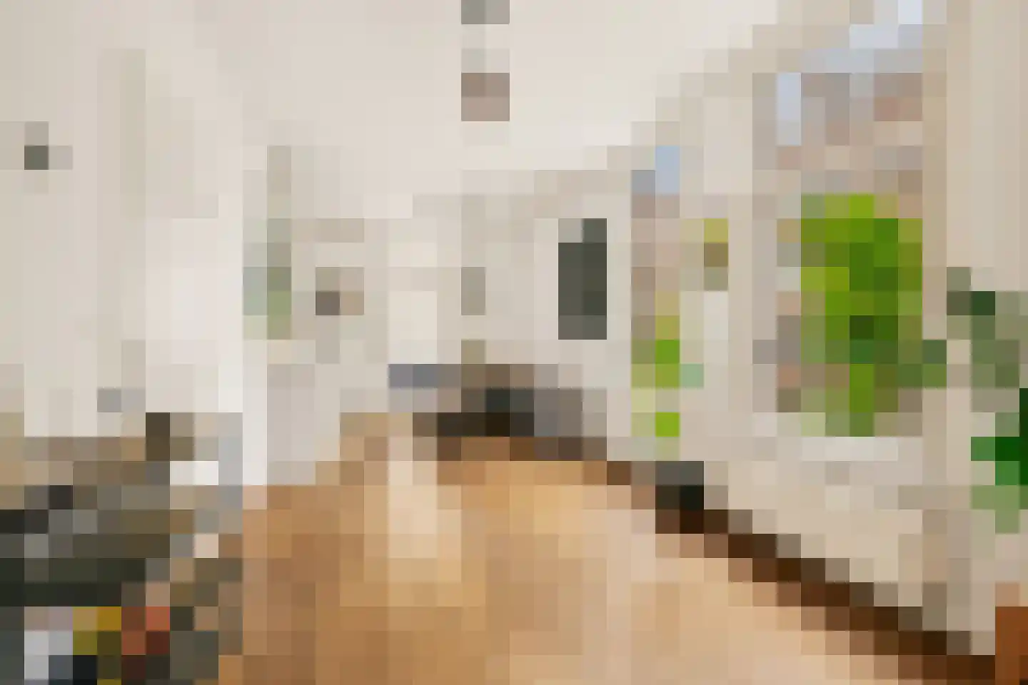 Groen van Prinstererstraat 14 1 Amsterdam thumbnail 14