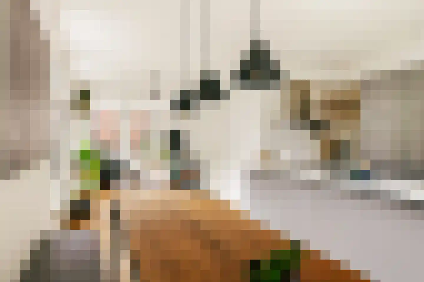 Groen van Prinstererstraat 14 1 Amsterdam thumbnail 18