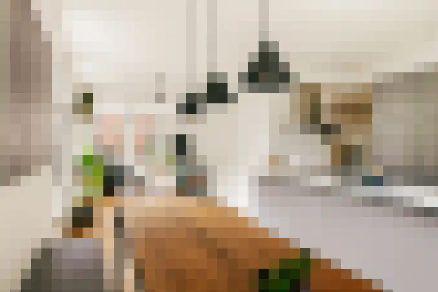 Groen van Prinstererstraat 14 1 Amsterdam thumbnail 18