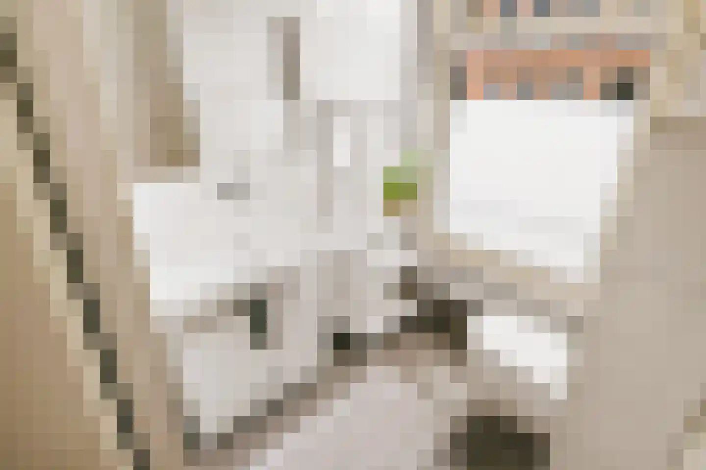 Groen van Prinstererstraat 14 1 Amsterdam thumbnail 32