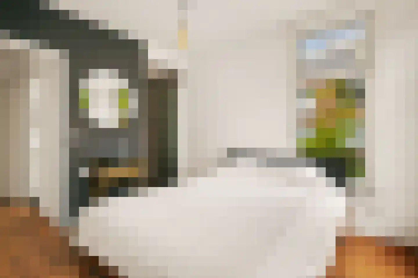 Groen van Prinstererstraat 14 1 Amsterdam thumbnail 37