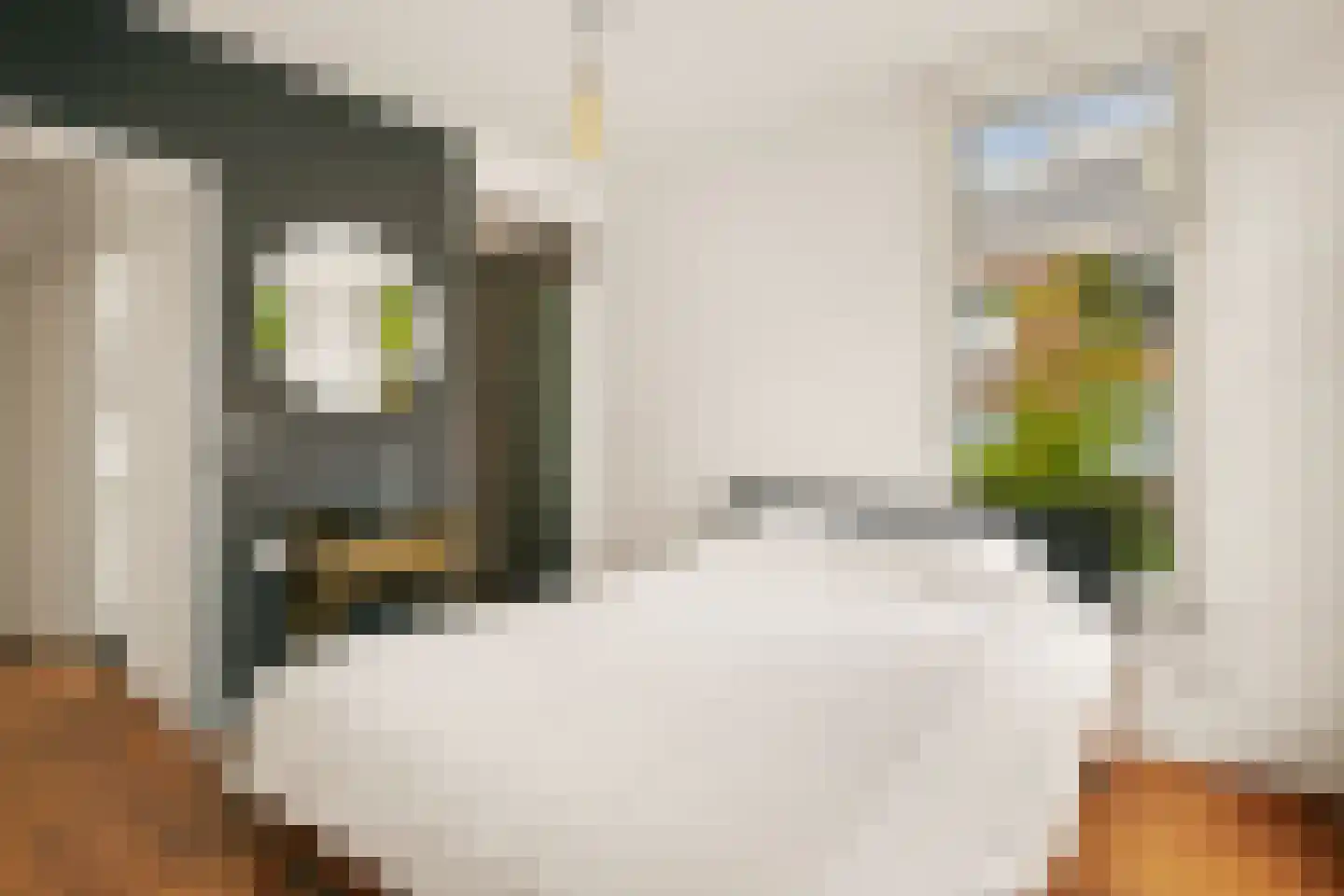 Groen van Prinstererstraat 14 1 Amsterdam thumbnail 37