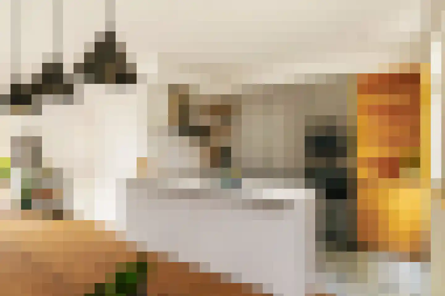 Groen van Prinstererstraat 14 1 Amsterdam thumbnail 6