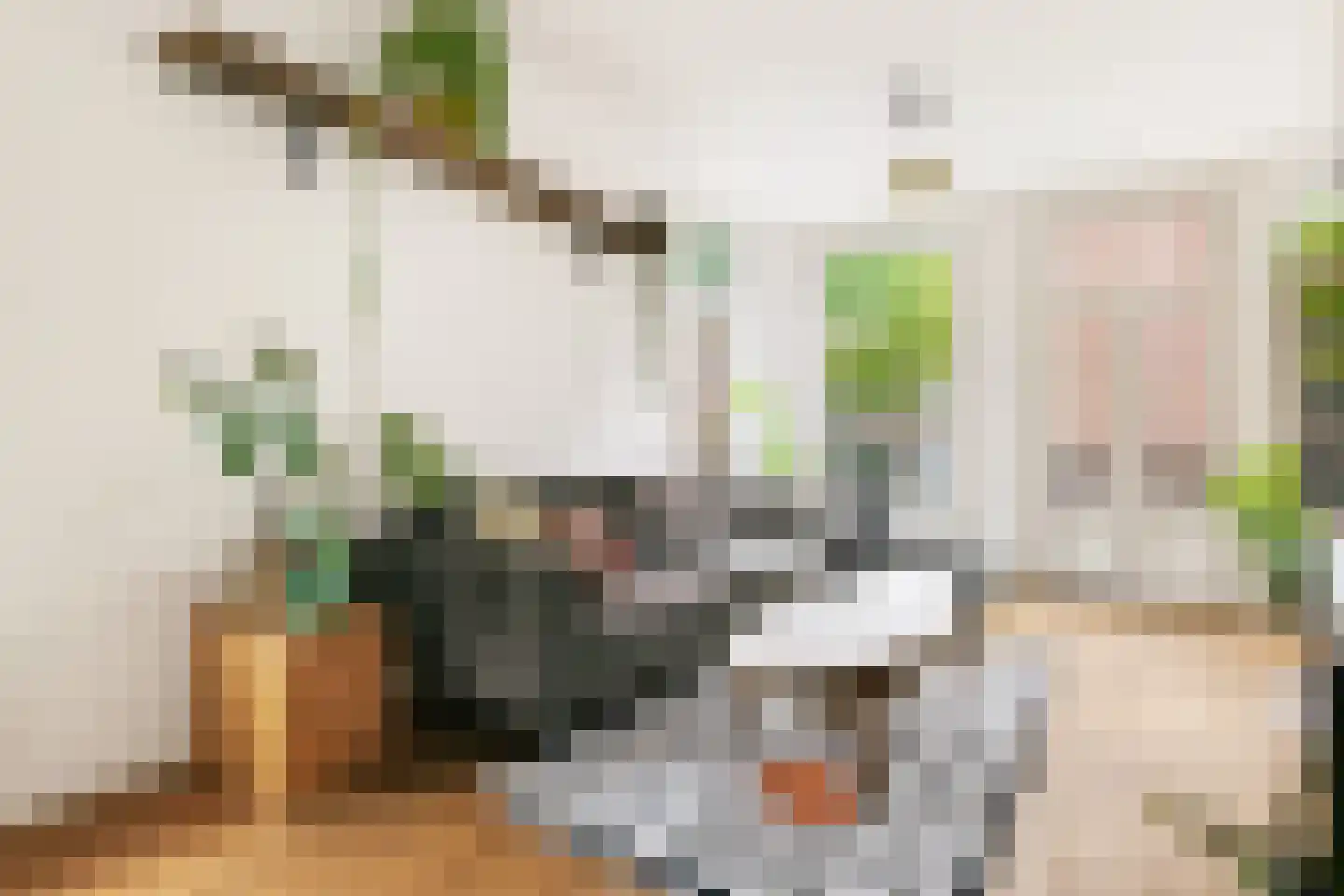 Groen van Prinstererstraat 14 1 Amsterdam thumbnail 7