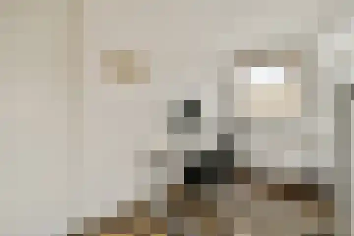 Groen van Prinstererstraat 14 H Amsterdam thumbnail 21