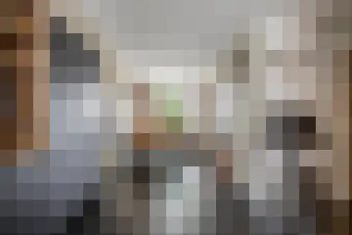 Groen van Prinstererstraat 16 Veenendaal thumbnail 14