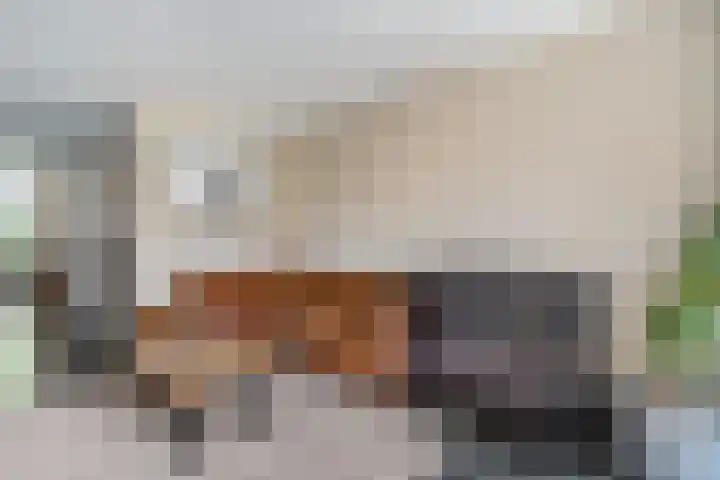Groen van Prinstererstraat 16 Veenendaal thumbnail 17
