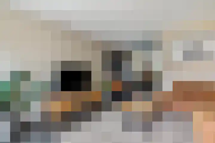 Groen van Prinstererstraat 16 Veenendaal thumbnail 18