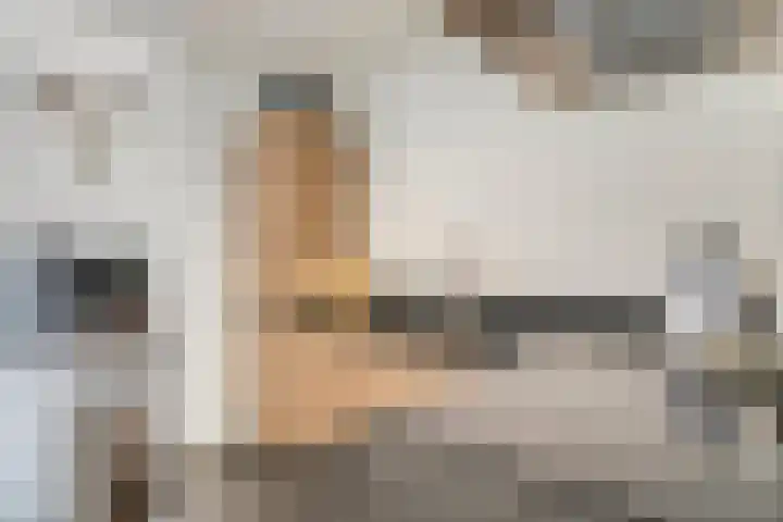 Groen van Prinstererstraat 16 Veenendaal thumbnail 21