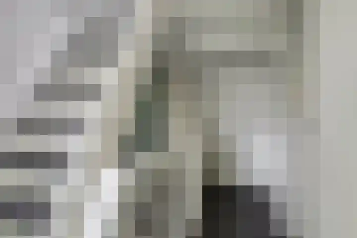 Groen van Prinstererstraat 16 Veenendaal thumbnail 31