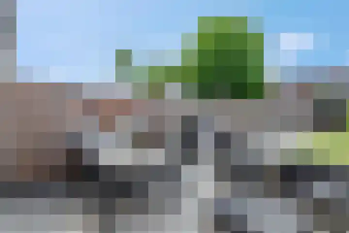 Groen van Prinstererstraat 16 Veenendaal thumbnail 37