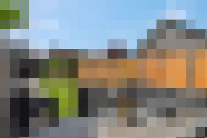 Groen van Prinstererstraat 16 Veenendaal thumbnail 38